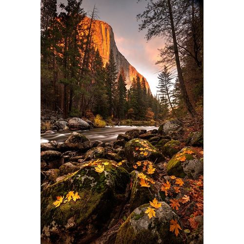 Fall along Merced River in Yosemite National Park-California